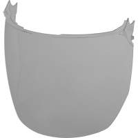 Face Shield Replacement Lenses, Polycarbonate, Grey/Smoke Tint Sécurité Médic