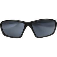Robson Safety Glasses with Gasket, Silver Mirror Lens, Anti-Scratch/Polarized, ANSI Z87+/MCEPS GL-PD 10-12/Meets/Exceeds CSA Z94.3 Sécurité Médic