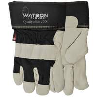 Big Dawg Gloves, Small, Grain Cowhide Palm, Thinsulate Inner Lining Sécurité Médic