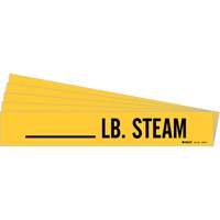 Marqueurs de tuyau LB. Steam, Autocollant, 2-1/4" h x 2-3/4" la, Noir sur jaune Sécurité Médic