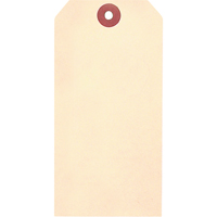 Manila Blank Tags, Cardstock, 2-3/8" W x 4-3/4" H Sécurité Médic
