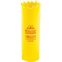 Scie &agrave; cloche bim&eacute;tal 13/16", 13/16", Profondeur de la coupe 2", Bim&eacute;tal Sécurité Médic
