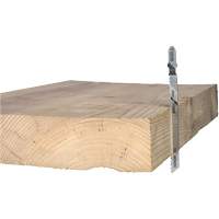 Wood Cutting Jigsaw Blade, High-Carbon Steel, T-Shank, 4" L, 10 TPI Sécurité Médic