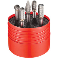 Double Cut Rotary Burr Set, 5 Pieces Sécurité Médic
