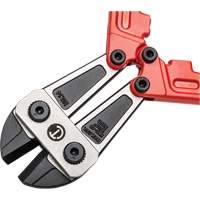 High Leverage Compound Bolt Cutter, 14" L, Center Cut Sécurité Médic