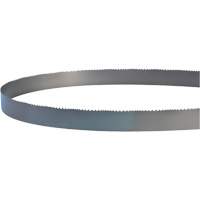 Welded Bandsaw Blade, Bi-Metal, 14' L x 1" W x 4 - 6 TPI Sécurité Médic