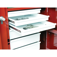 Rolling Work Bench, 49-7/8" W x 40-5/8" H x 26-7/8" D, 24.6 Cubic Feet Capacity Sécurité Médic