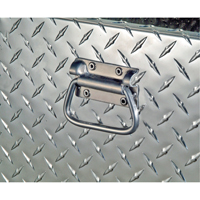 Aluminum Fuel Transfer Tank & Chest, Aluminum, 74 gal. Capacity, Silver Sécurité Médic
