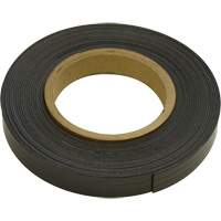 Magnetic Strips, 100' L x 1" W, 1/16" Thickness, Strength of 6 lbs. per Lin. Ft. Sécurité Médic