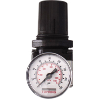 Regulators, 1/4" NPT, 150 PSI Max. PSI, Modular Sécurité Médic
