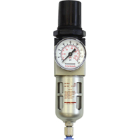 Modular Filter/Regulator, 1/4" NPT, 150 PSI, 0.5 fl.oz. Capacity Sécurité Médic