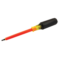 Square Screwdriver Sécurité Médic