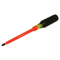 Phillips Screwdriver Sécurité Médic