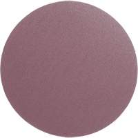 PSA Cloth Disc 348D, 12" Dia., 60 Grit, Aluminum Oxide, X-Weight Sécurité Médic