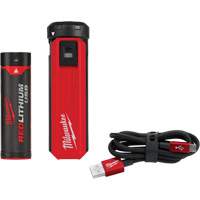 Trousse d'alimentation et de chargeur USB Redlithium, 4 V, Lithium-ion Sécurité Médic