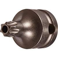 Socket Bit, Torx&reg; Tamper, 25 x 1" L, 3/8" Drive Sécurité Médic