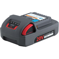 IQV20 Series Battery, Lithium-Ion, 20 V, 2.5 Ah Sécurité Médic