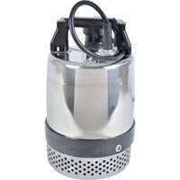 Pompe utilitaire s&eacute;rie FLS/FS, 1 CV, 80 gal./min, 115 V, 10 A Sécurité Médic