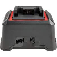 2.5 Ah & 5.0 Ah Battery Charger, 120 V, Lithium-Ion Sécurité Médic