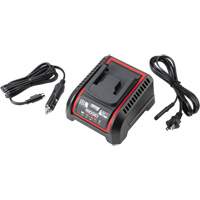 2.5 Ah & 5.0 Ah Battery Charger, 120 V, Lithium-Ion Sécurité Médic