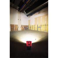 M12 Rover Mounting Flood Light, LED, 250 W, 1000 Lumens Sécurité Médic