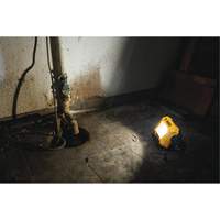 Lampe d'&eacute;clairage direct compact 12V/20V Max, DEL, 2000 Lumens Sécurité Médic