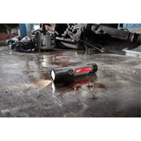 USB Compatible Compact Flashlight, LED, 800 Lumens, Rechargeable Batteries Sécurité Médic