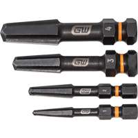 Bolt Biter Screw Extractor Set, High Speed Steel, 4 Pieces Sécurité Médic