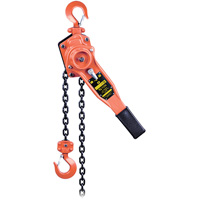 VLP Series Lever Chain Hoist, 10' Lift, 1653.46 lbs. (0.75 tons) Capacity Sécurité Médic