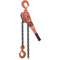 KLP-300L-5 KLP Series Heavy-Duty Lever Chain Hoist with Overload Protection, 5' Lift, 6000 lbs. (3 tons) Capacity Sécurité Médic