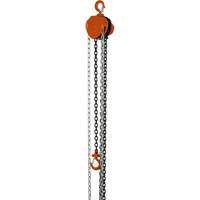 VHC Series Chain Hoists, 10' Lift, 1100 lbs. (0.5 tons) Capacity, Alloy Steel Chain Sécurité Médic