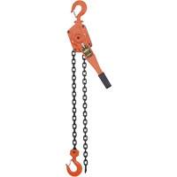 VLP Series Chain Hoists, 5' Lift, 6000 lbs. (3 tons) Capacity, Steel Chain Sécurité Médic