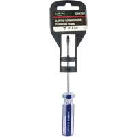 Blue Transparent Striped Slotted Screwdriver, 1/8" Tip, Round, Plastic Handle Sécurité Médic