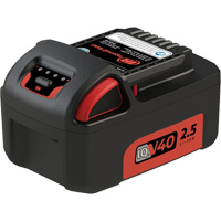 Battery, Lithium-Ion, 40 V Sécurité Médic