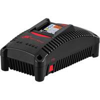 IQV&reg;40 Battery Charger, 40 V, Lithium-Ion Sécurité Médic