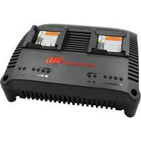 IQV&reg; Series Universal Charger, 12 V/20 V, Lithium-Ion Sécurité Médic