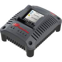 IQV20 Compact Battery Charger, 20 V, Lithium-Ion Sécurité Médic