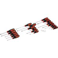 Dual Material Screwdriver Set, 20 Pcs. Sécurité Médic