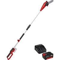 Cordless Pole Chain Saw with 4Ah Battery & Charger Starter Kit Sécurité Médic
