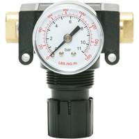 MODULAIR 200 Acetal Piston Regulator, 1/4" NPT, 150 PSI Max. PSI, In Line/Modular Sécurité Médic