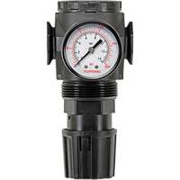 MODULAIR 300 Zinc Diaphragm Regulator, 3/8" NPT, 300 psi Max. PSI, In Line/Modular Sécurité Médic