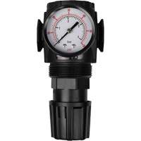 MODULAIR 300 Compressed Air Regulator, 1/2" NPT, 300 psi Max. PSI, In Line/Modular Sécurité Médic