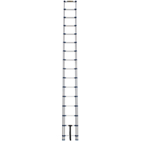 Telescopic Ladder, 3' - 15.5', Aluminum, 250 lbs. Capacity, Type 1 Sécurité Médic