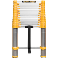 Telescopic Ladder, 3' - 12', Aluminum, 250 lbs. Capacity, Type 1 Sécurité Médic