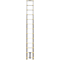 Telescopic Ladder, 3' - 12', Aluminum, 250 lbs. Capacity, Type 1 Sécurité Médic