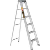 Step Ladder, 6', Aluminum, 225 lbs. Capacity, Type 2 Sécurité Médic