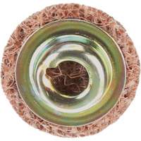Standard Abrasives Quick-Change Surface Conditioning Disc, 3/4" Dia., Coarse Grit, Aluminum Oxide Sécurité Médic