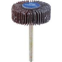 3/8" Flapwheel Sanding Bit - 80 Grit Sécurité Médic