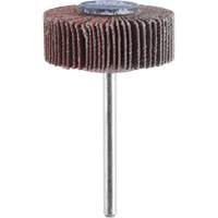 3/8" Flapwheel Sanding Bit - 120 Grit Sécurité Médic
