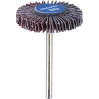 3/16" Flapwheel Sanding Bit - 80 Grit Sécurité Médic